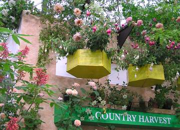 COUNTRY HARVEST GARDEN